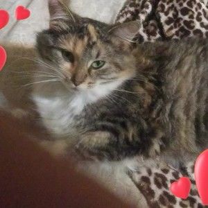 Meet your Posher, Neita